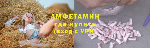 амф Алексин